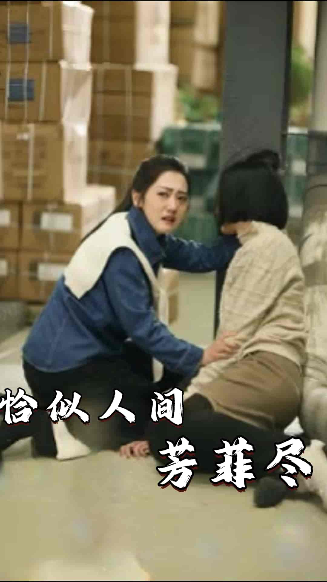 恰似人间芳菲尽第55集