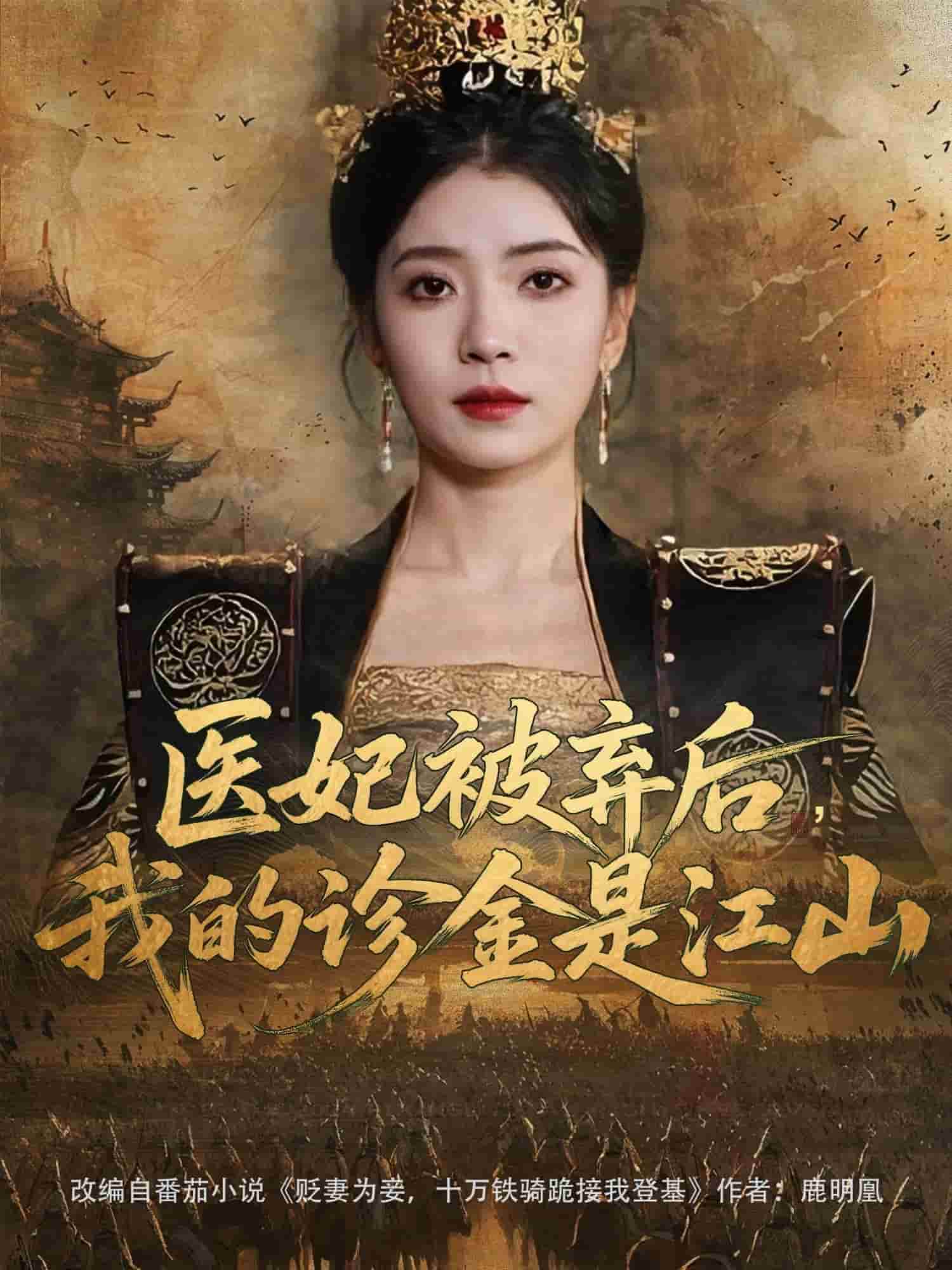 医妃被弃后，我的诊金是江山第04集